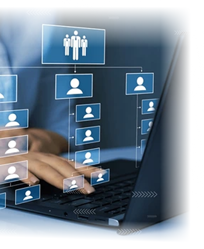 User interacting with digital dashboard showing team structure and workflow, representing business management software integration